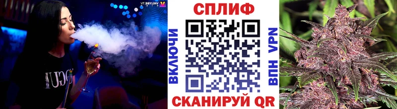 МЕФ Чайковский